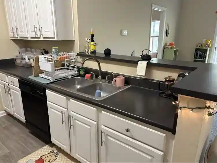 Looking to fill my room!