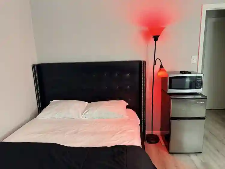 Well-furnished large room for rent