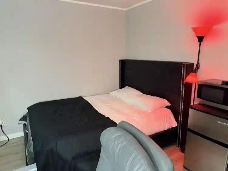 Well-furnished large room for rent