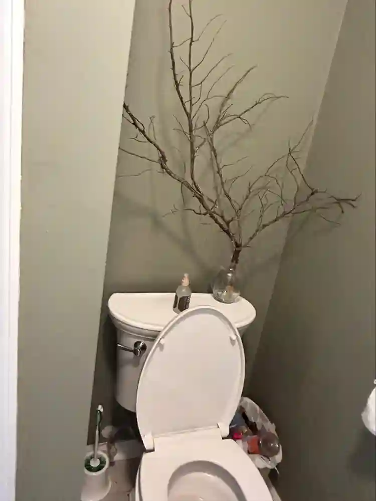 Furnished room with ensuite