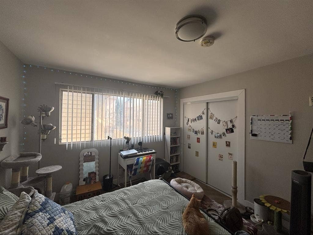 All female. Pets allowed