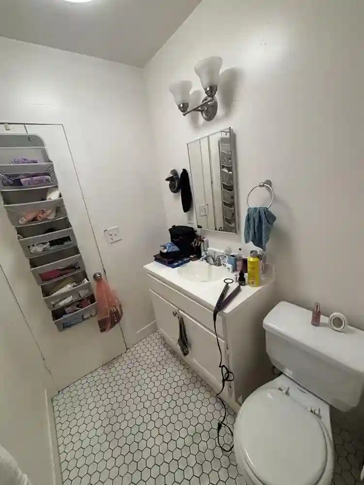 All female. Pets allowed