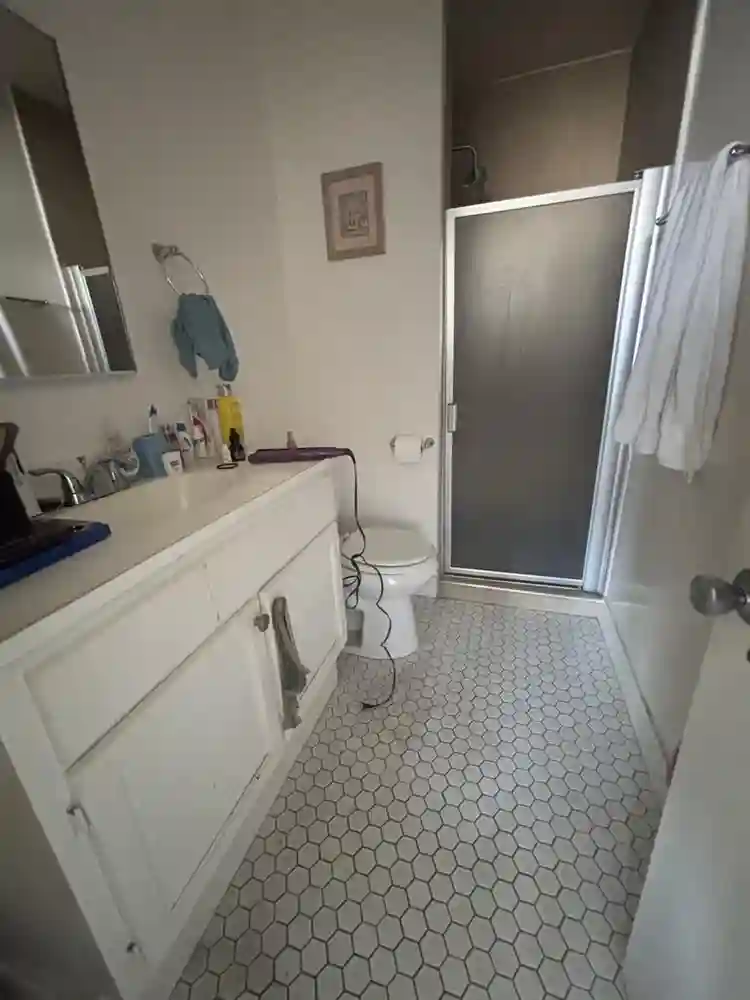 All female. Pets allowed