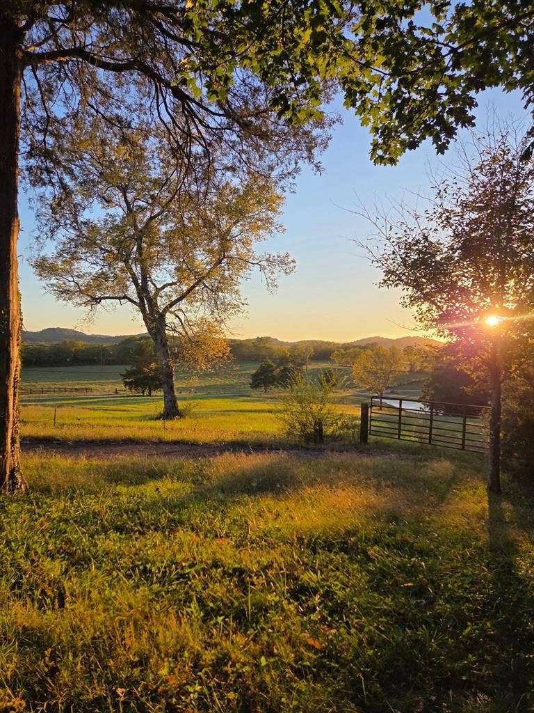 Looking for female roommate