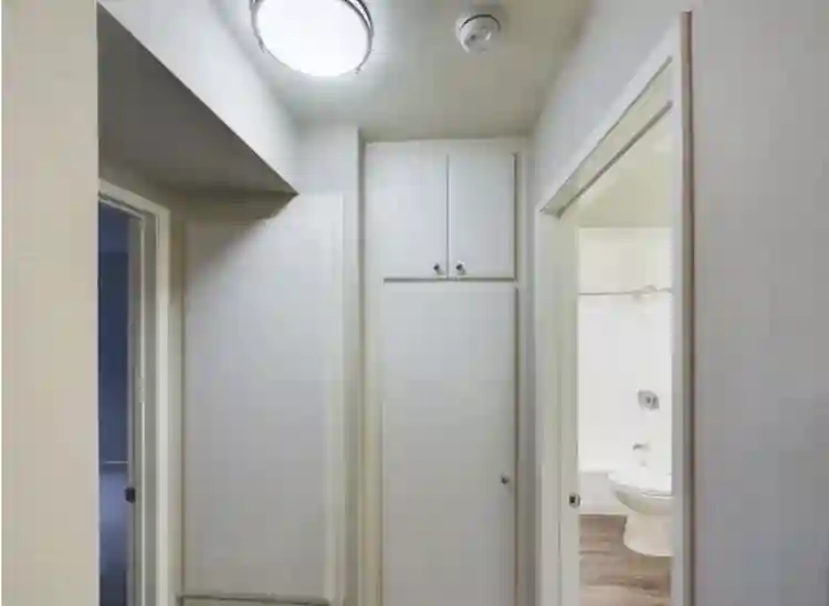 Female Roomie – Runyon Canyon