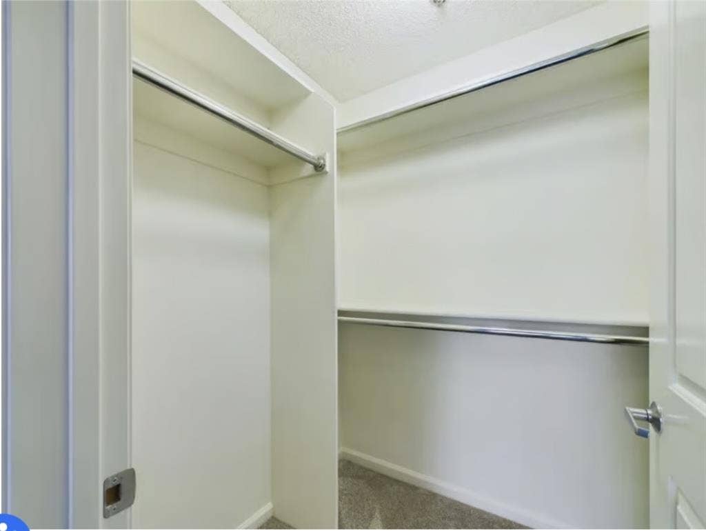 Female Roomie – Runyon Canyon