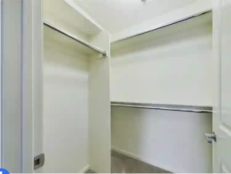 Female Roomie – Runyon Canyon