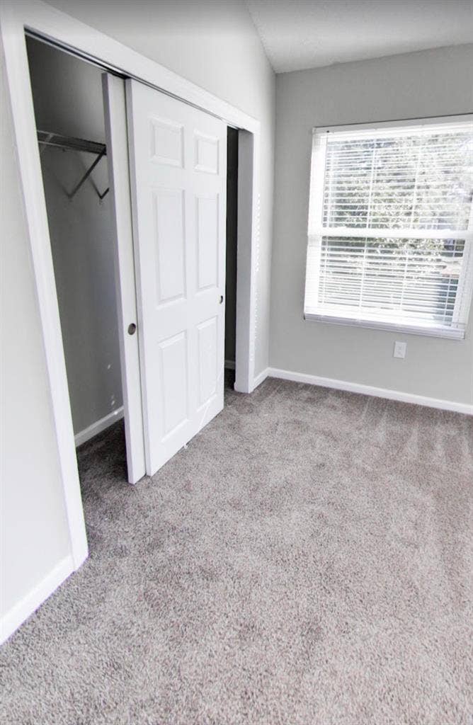 Room for rent near Arboretum