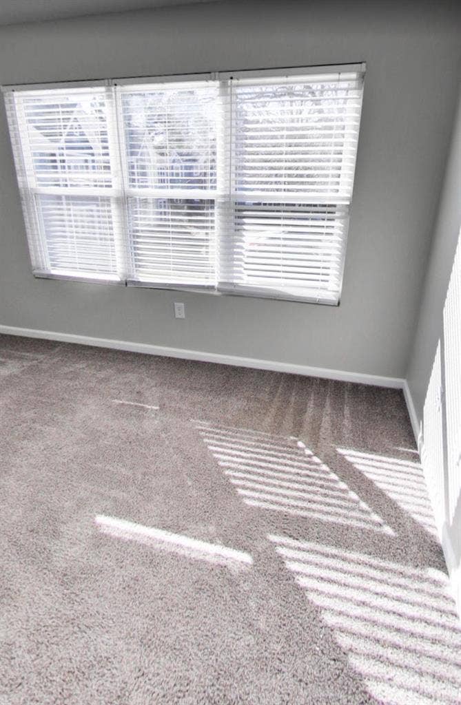 Room for rent near Arboretum