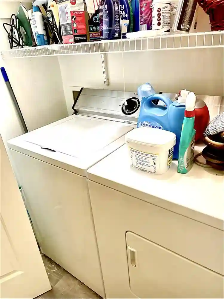 Roommate wanted Spartanburg !