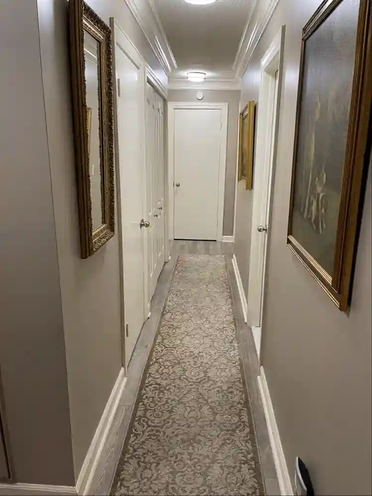 Roommate wanted Spartanburg !