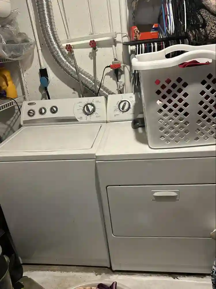 2 born basement for rent