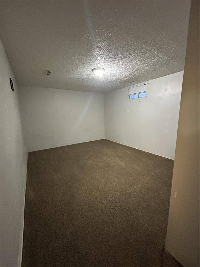 2 born basement for rent