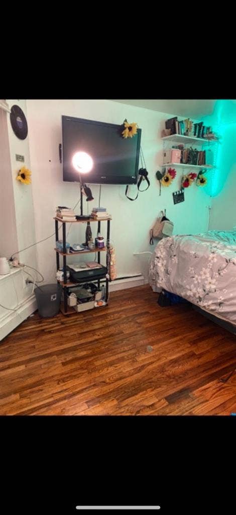 Female roomate wanted no males