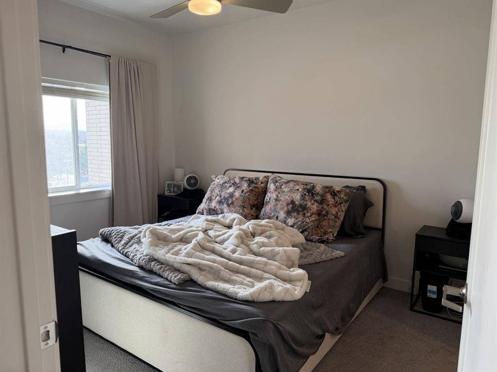 Looking for a roommate!