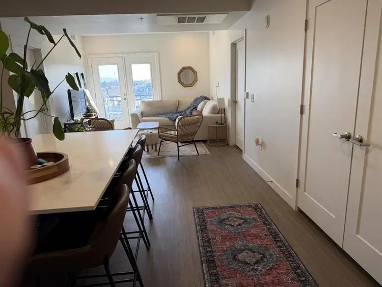 Looking for a roommate!