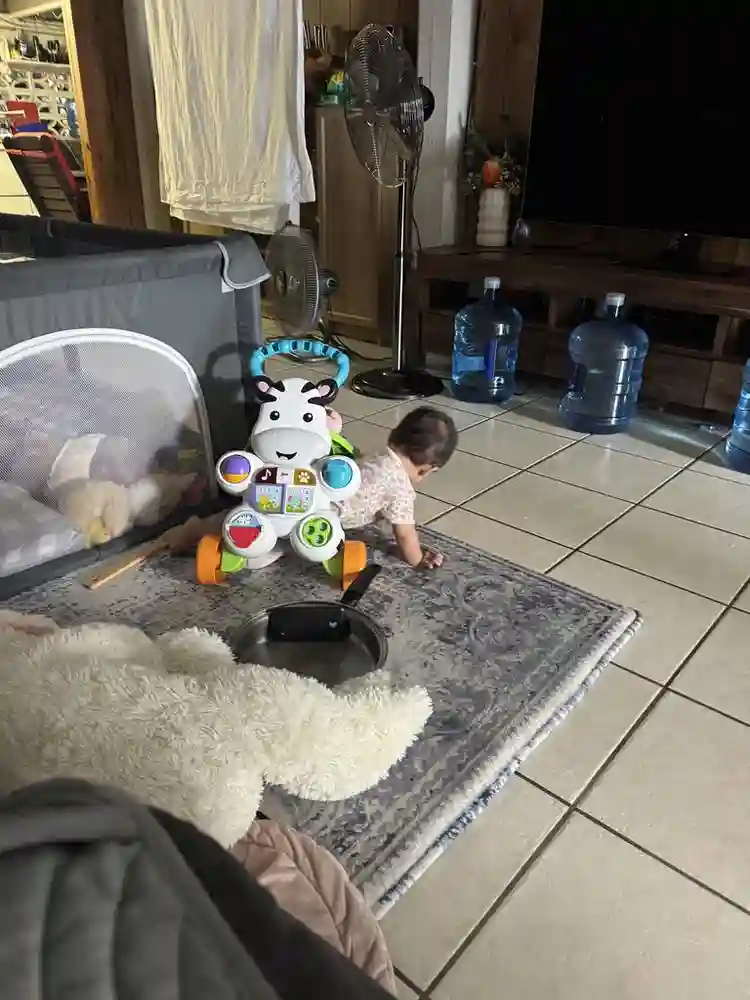 Available immediately