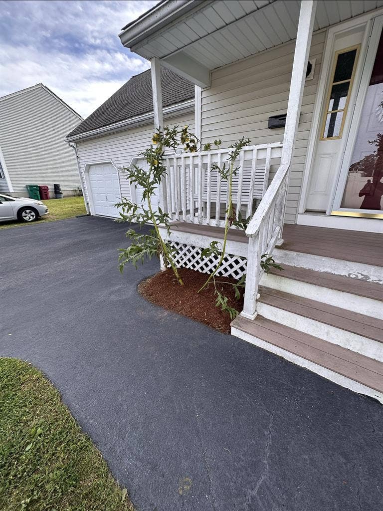 Private Furnished Room