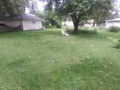 Room for rent in Brooklyn Park