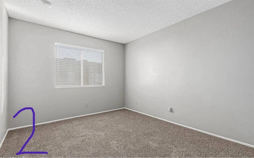 I need a roommate for DECEMBER