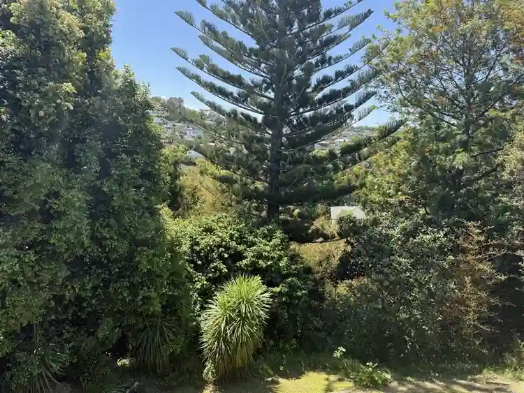 Sunny Zen Garden Northshore