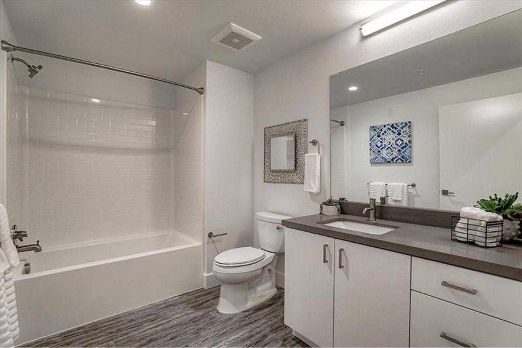 Looking for a roommate in a b