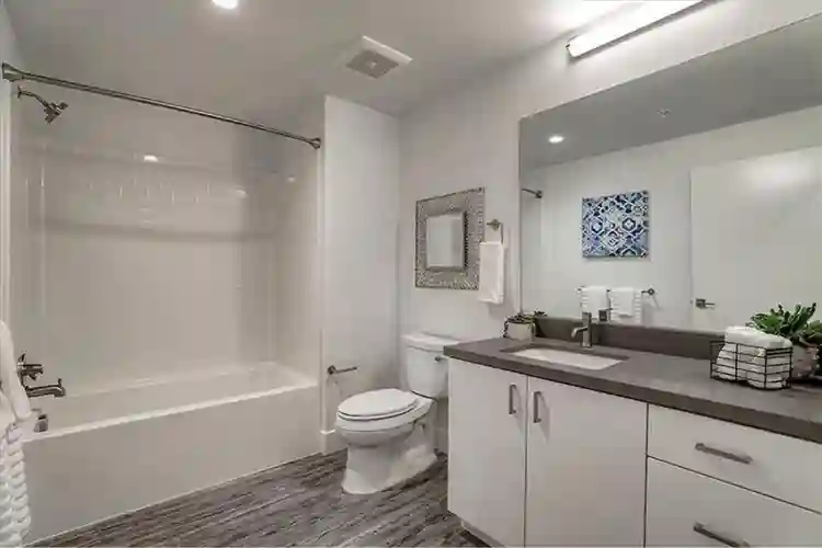 Looking for a roommate in a b