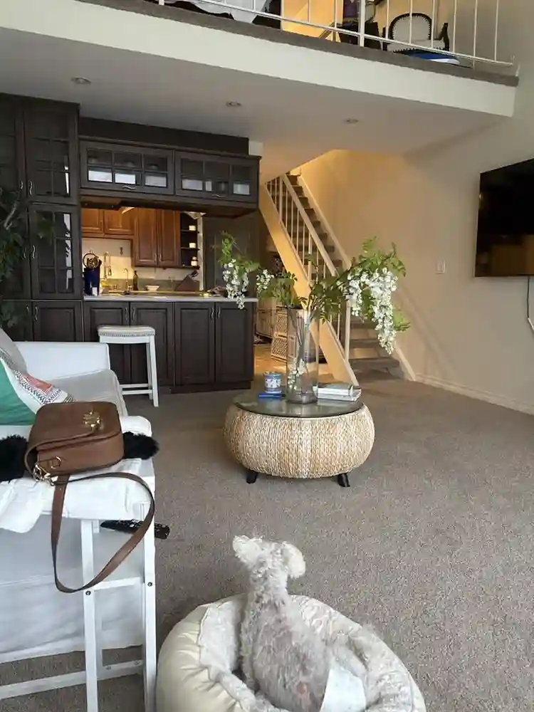 IG PastorJeanineLive