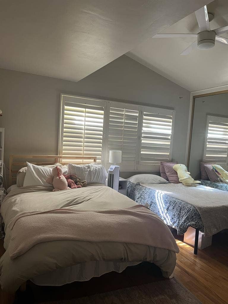 Urgent -
SDSU Spring Housing!!