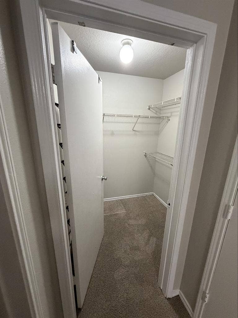 *MASTER BEDROOM AVAILABLE NOW*