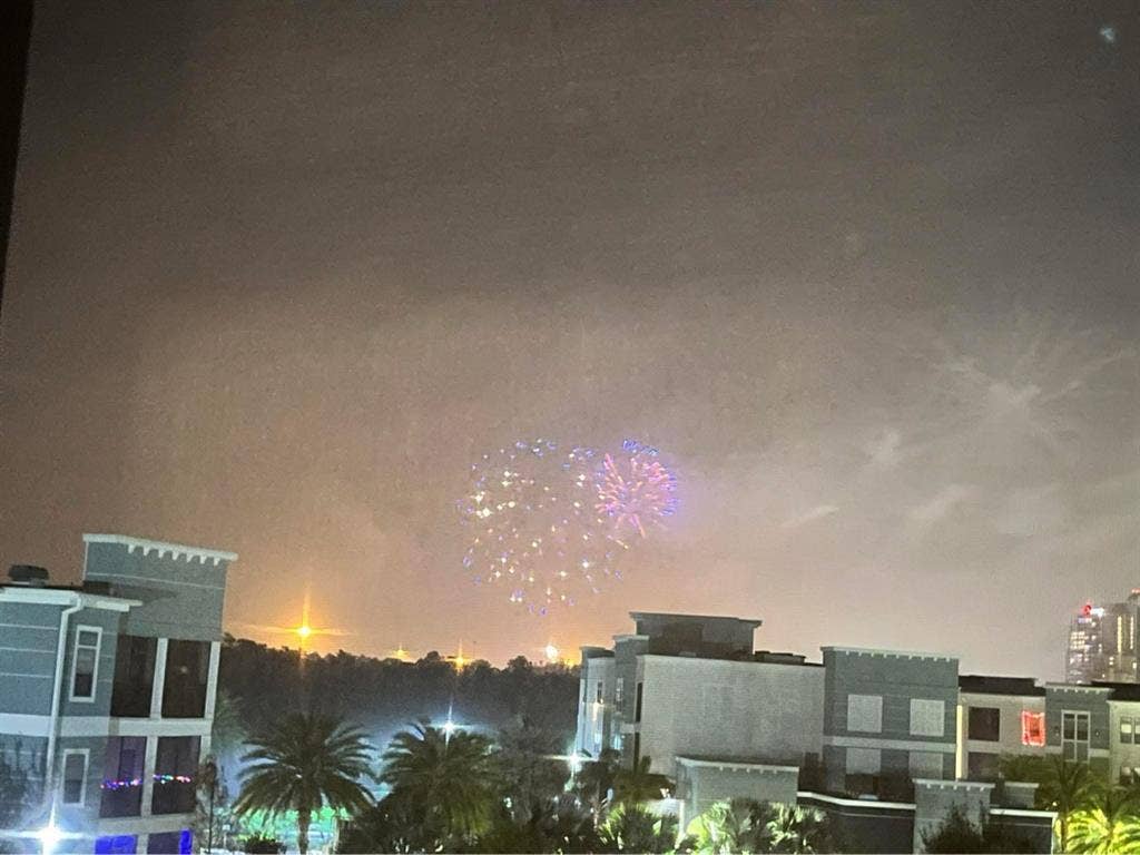 Professional Female wanted, age +