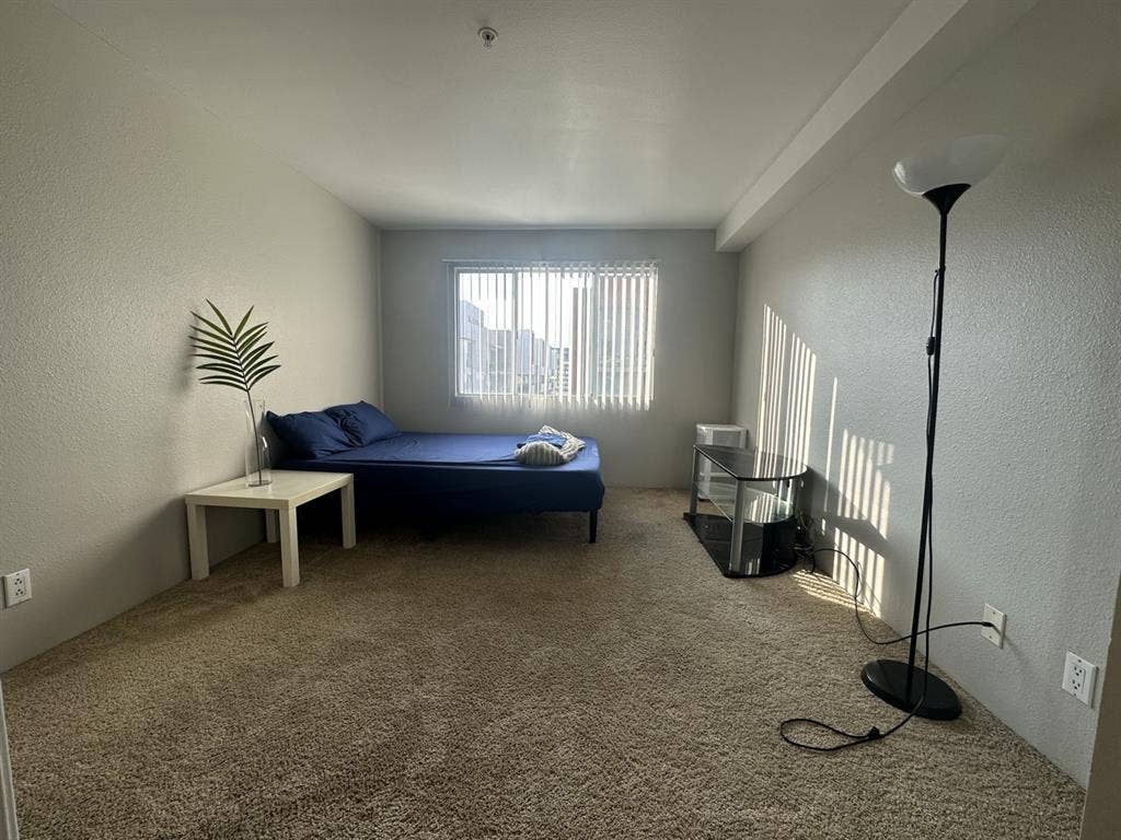 Looking for a responsible roommate