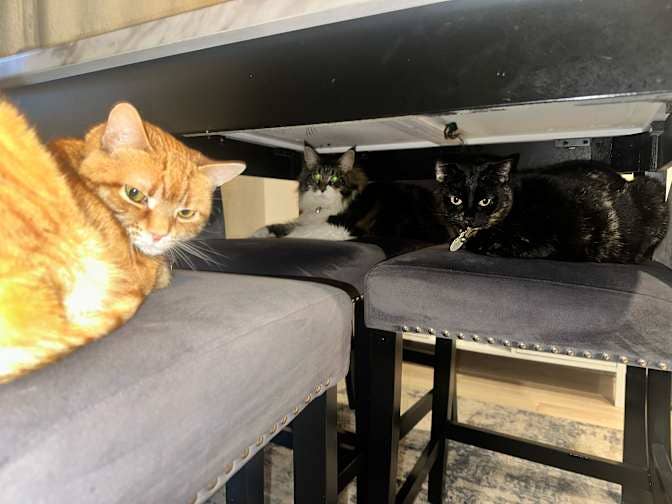 LARGE Room For Rent- Salmon Creek