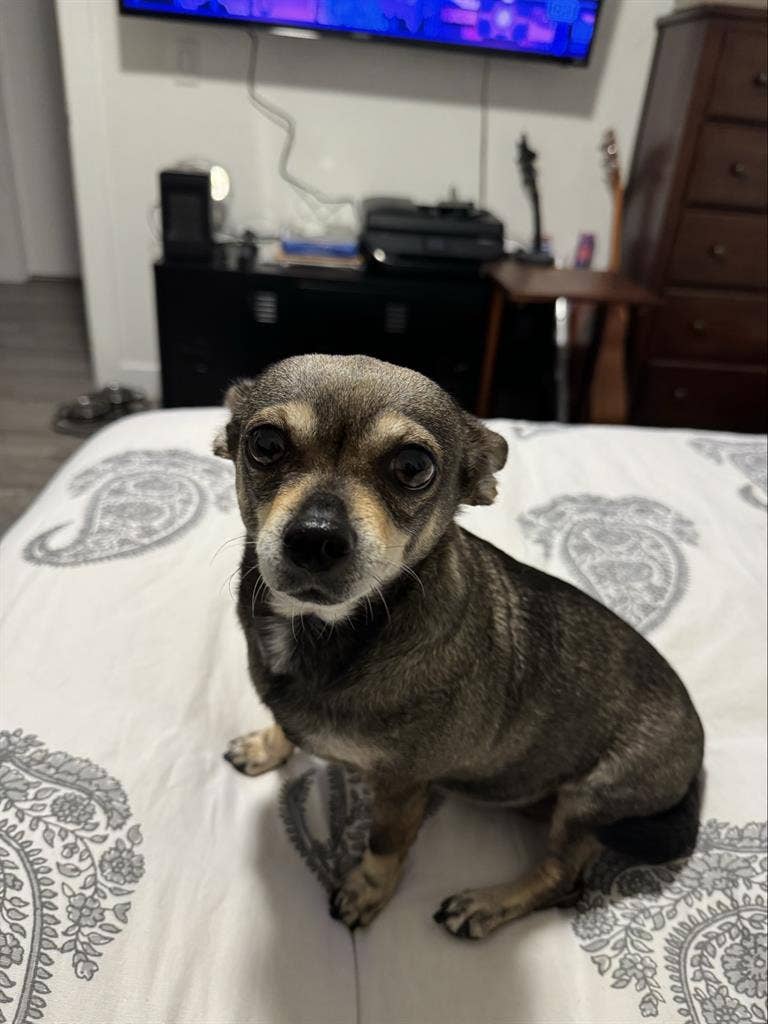 Room for rent Northeast LA,