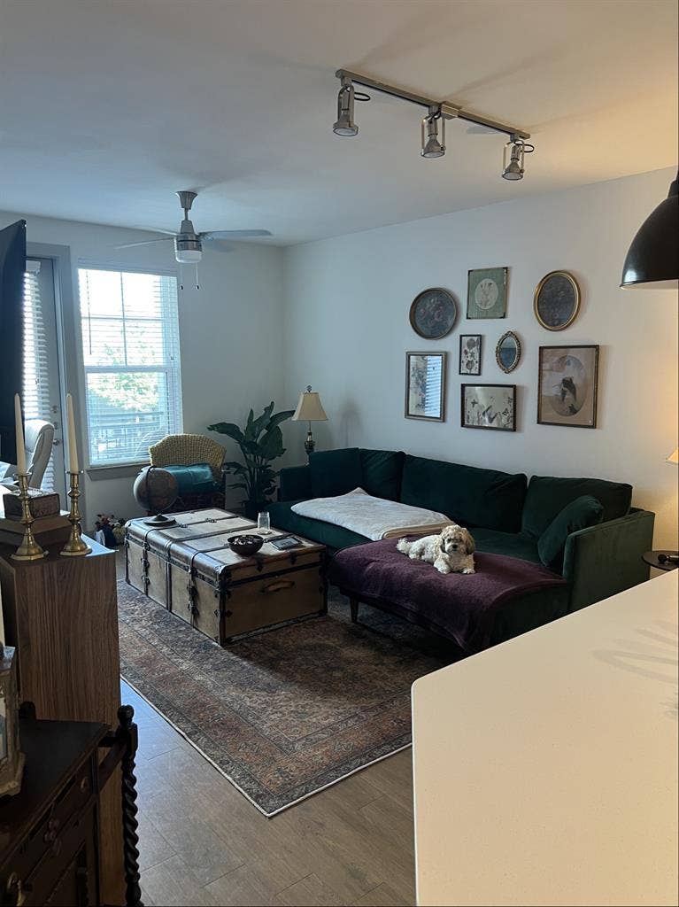 B in east austin sublease