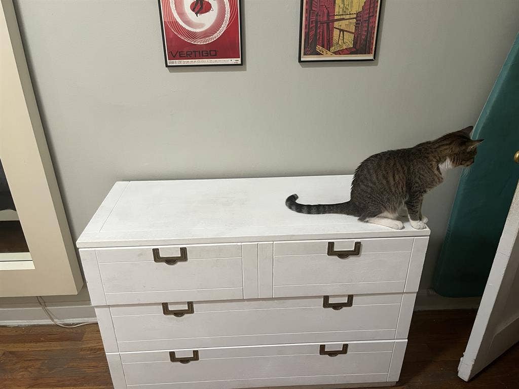 LARGE furnished bedroom in 1-BR apt