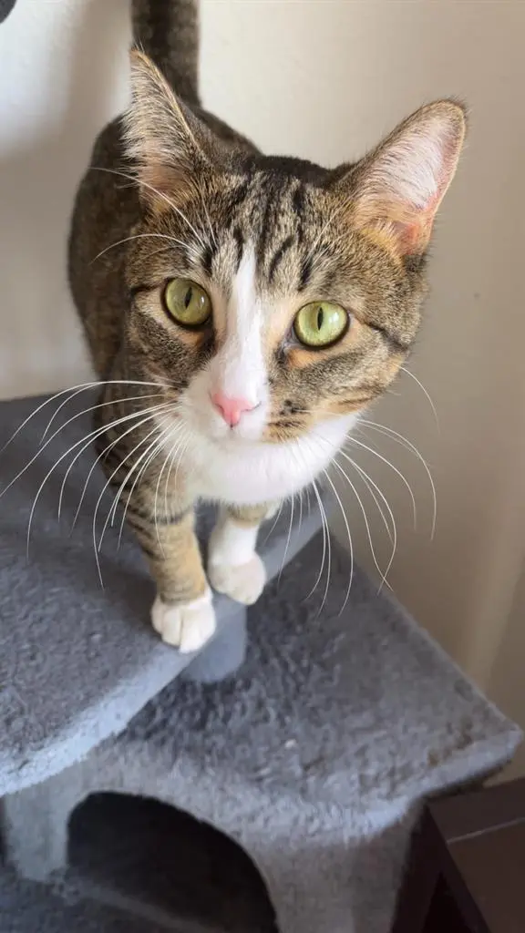 Looking for a roommate!!