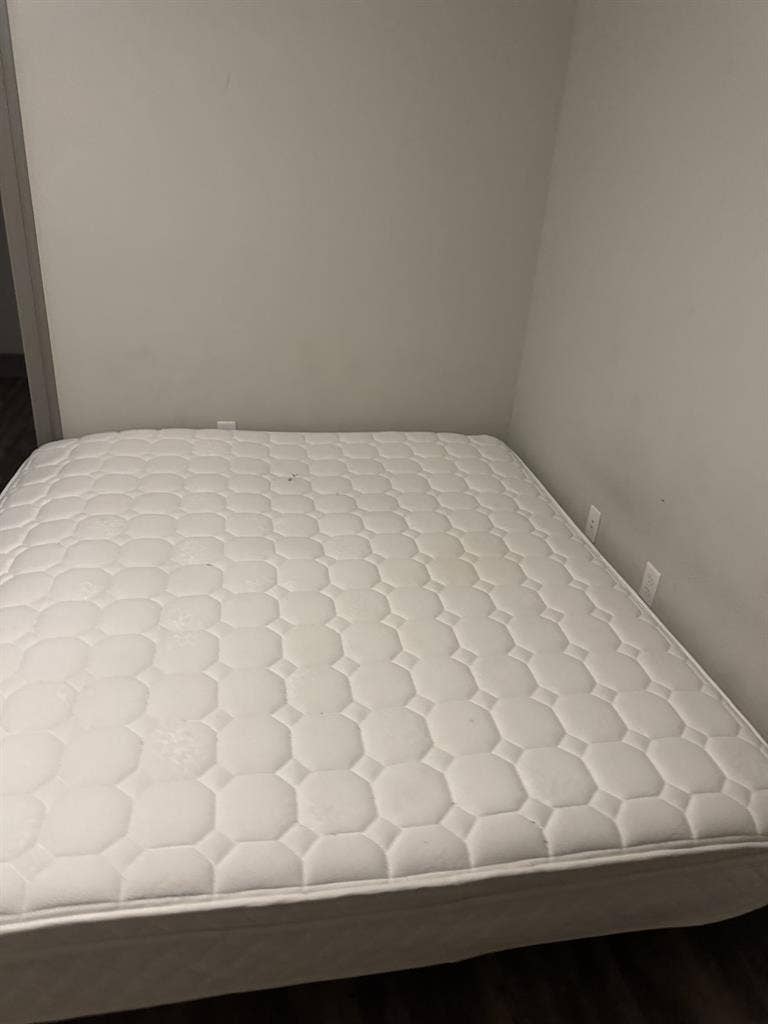 Looking for a roommate ASAP