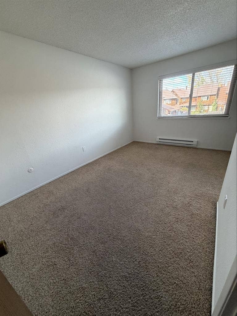 Room For Rent near SSU