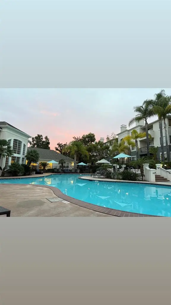 Room available end of December