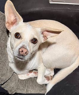 Great location, townhouse w/ownBath