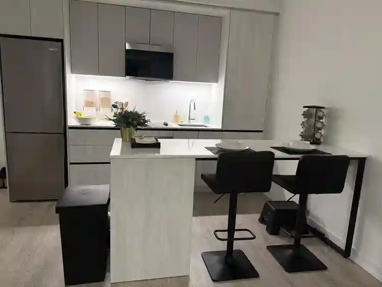 Brand new condo