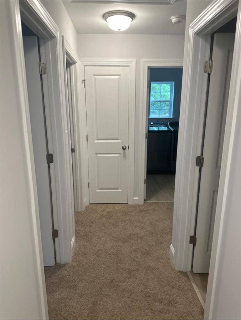 Cozy room in Suffolk for rent