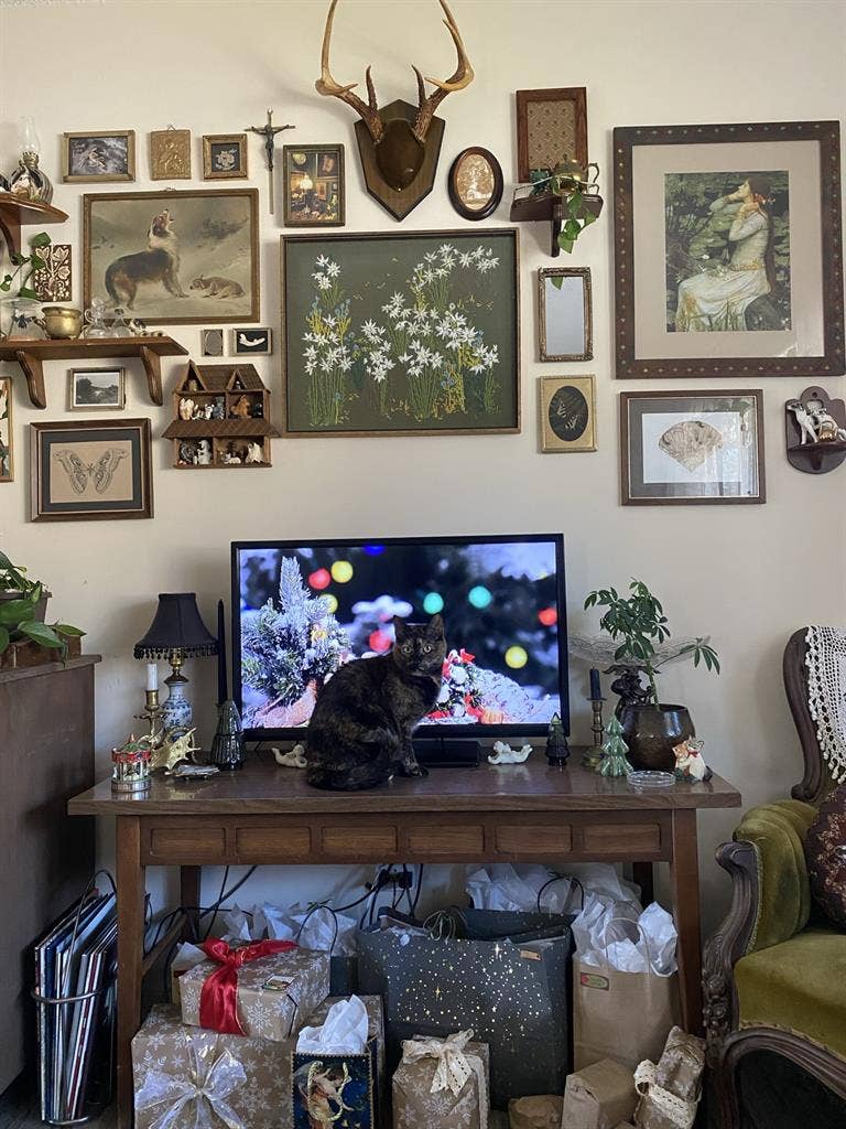 ROOM IN 2BR APT OPENING UP JAN 1ST