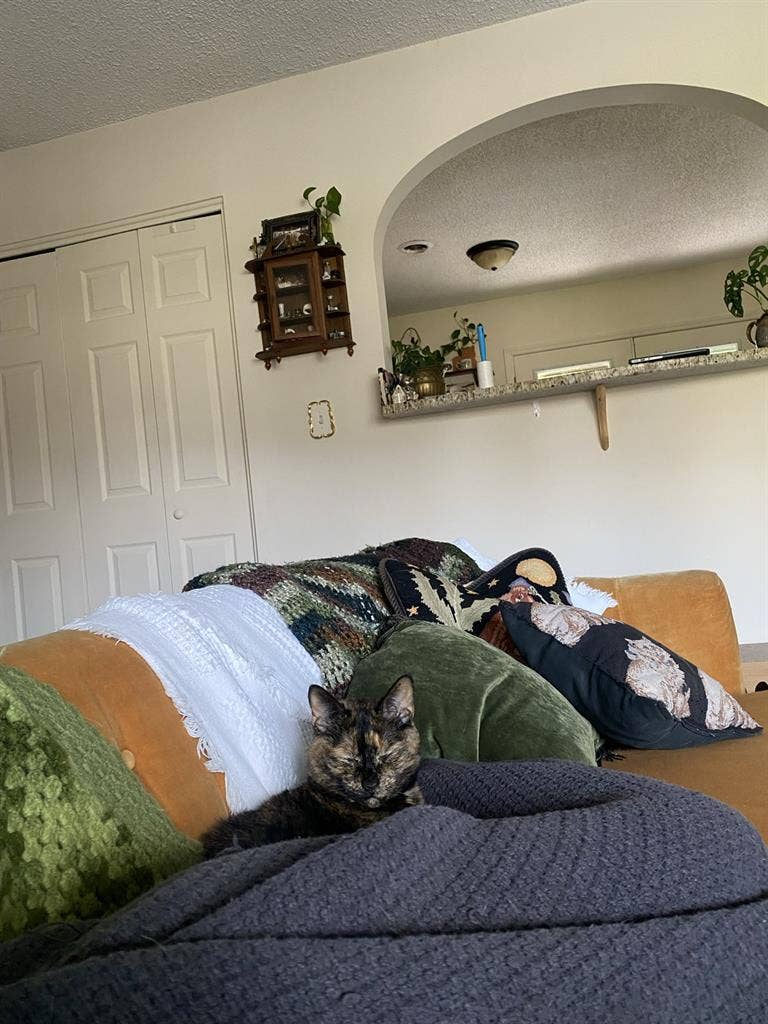 ROOM IN 2BR APT OPENING UP JAN 1ST