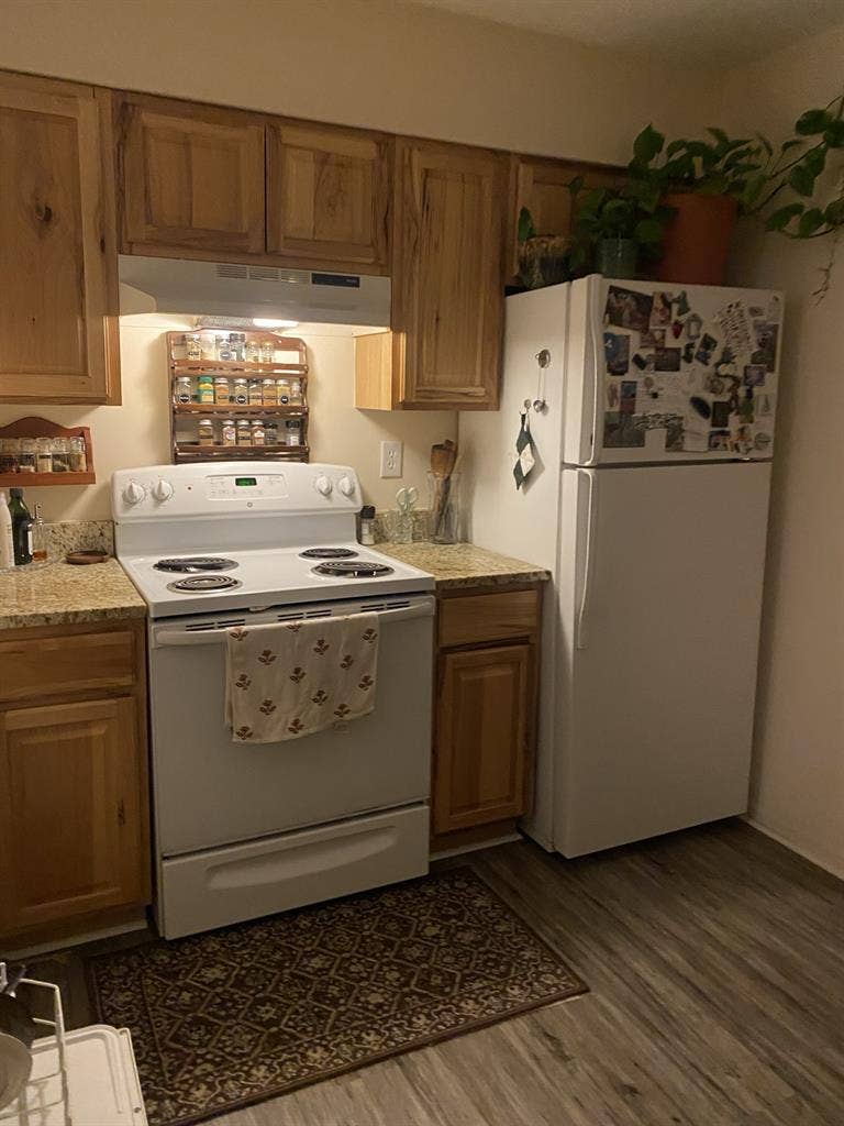 ROOM IN 2BR APT OPENING UP JAN 1ST