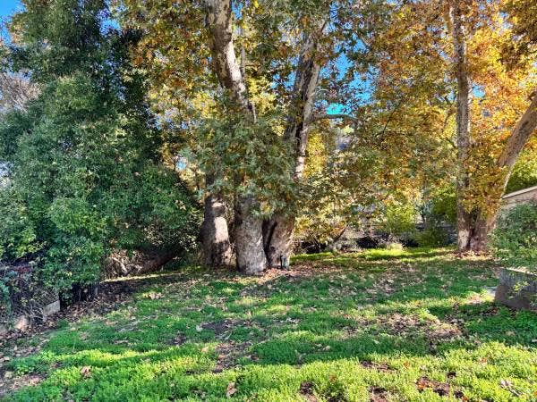 Almaden Valley Room for Rent