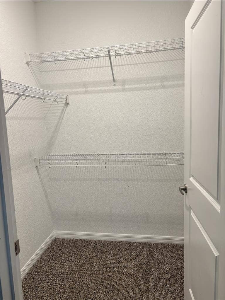 Downtown Living - No Car Needed