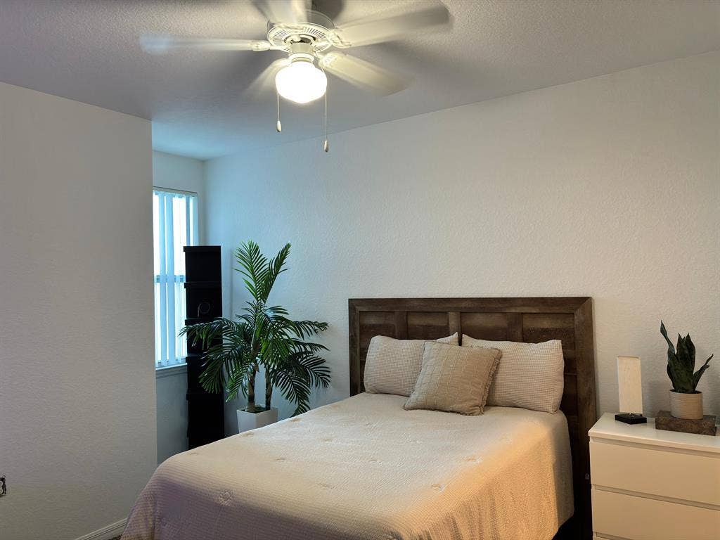 Downtown Living - No Car Needed