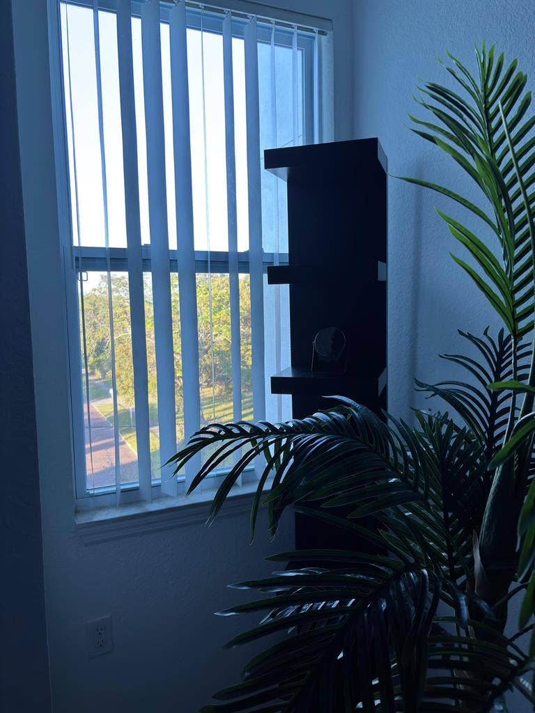 Downtown Living - No Car Needed